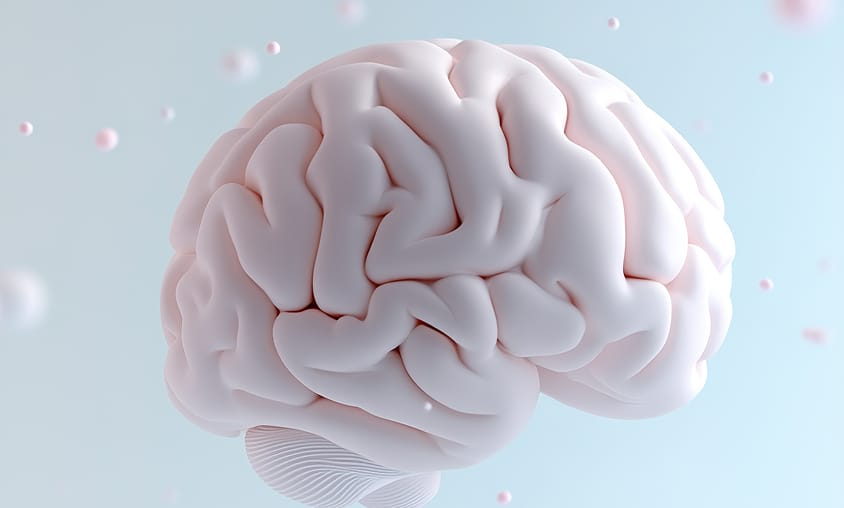 iQ-007 Preclinical Stage Complete — Phase 1 Preparations Targeted for Q1 2025