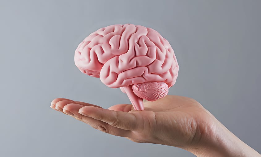 iQ-008 Accepted into NIH Preclinical Screening Platform for Pain (PSPP)