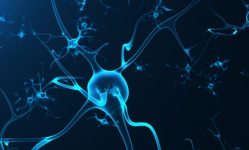 iQure Pharma researchers seek non-opioid alternatives to manage pain