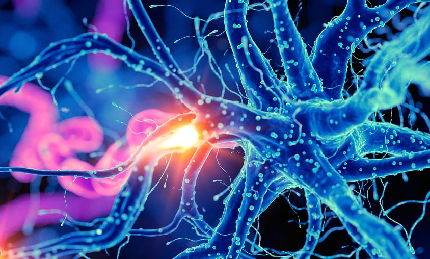 iQure Pharma’s iQ-007 Achieves Critical Pre-Clinical Milestone