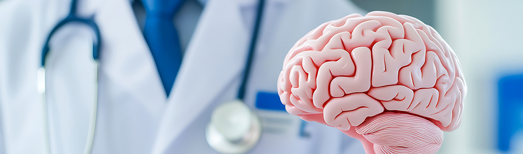 Breaking the cycle of excitotoxicity: restoring &nbsp; glutamate balance &nbsp; to treat CNS disorders